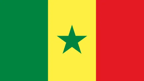 2026FIFA世界杯48強名單