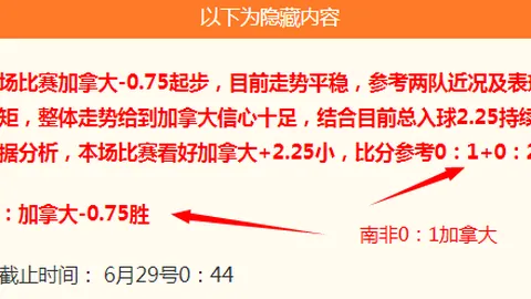 2026FIFA世界杯48強名單2026FIFA世界杯官